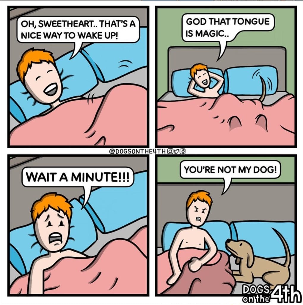Screenshot_464-1019x1024 15+ dogs on 4th Comics About Bizarre and Random Situations