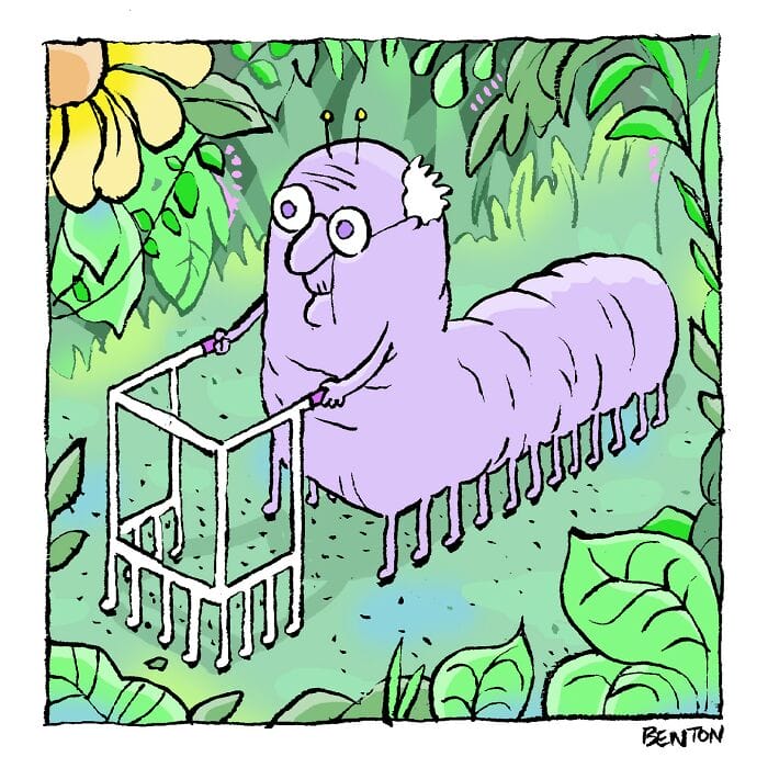 20-2 15+ Jim Benton Captures Observational Humor Using Quirky Characters