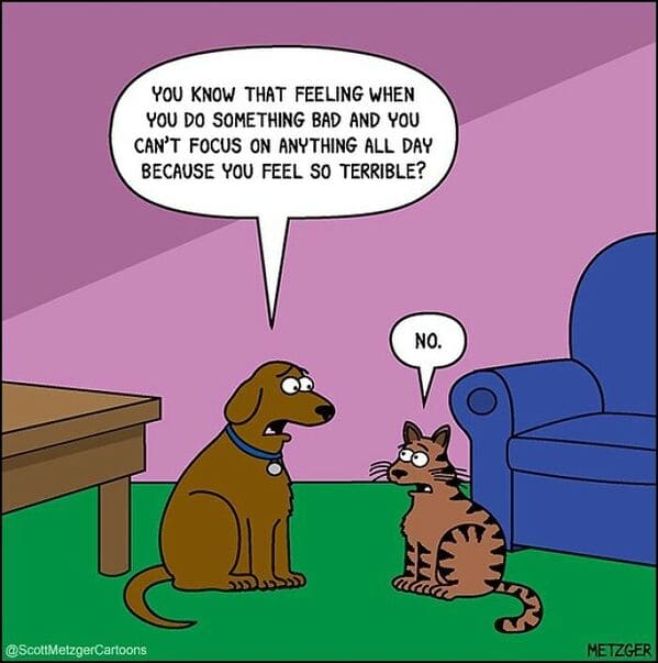 1 20 scott metzger's single-panel cartoons will make your day better