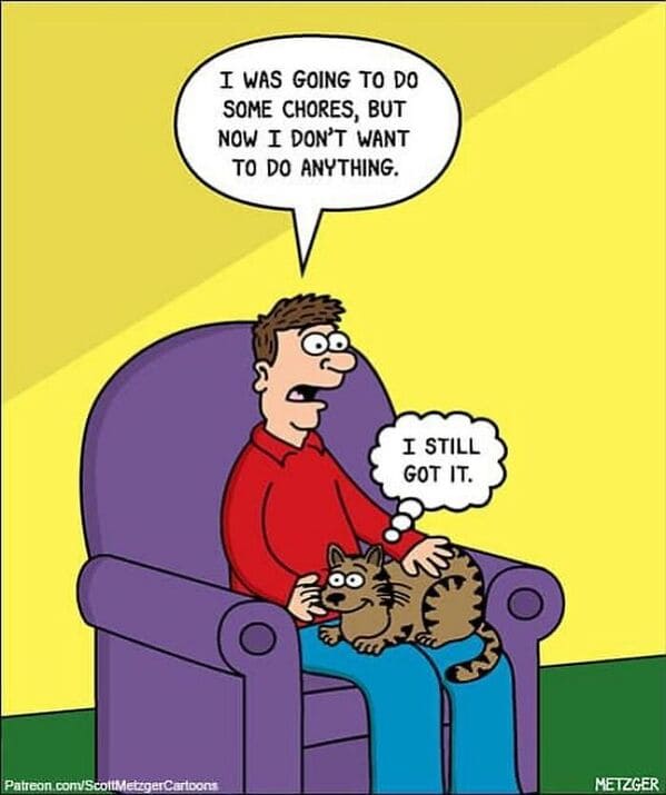 11 20 scott metzger's single-panel cartoons will make your day better