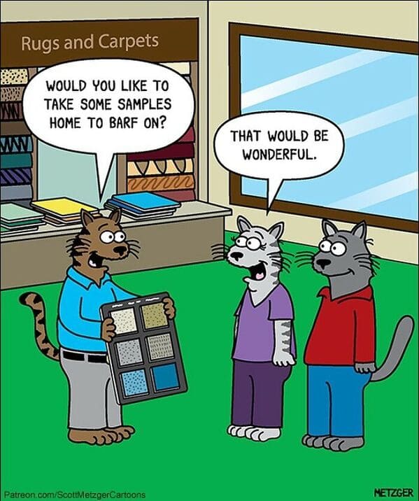 13 20 scott metzger's single-panel cartoons will make your day better