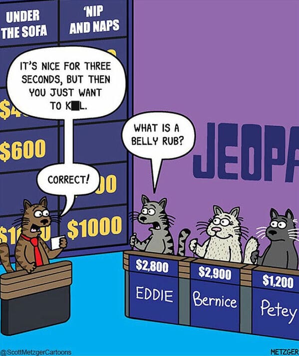 15 20 scott metzger's single-panel cartoons will make your day better