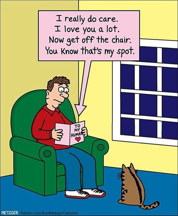 16 20 scott metzger's single-panel cartoons will make your day better