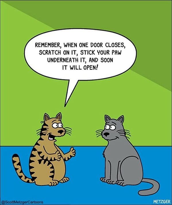 17 20 scott metzger's single-panel cartoons will make your day better