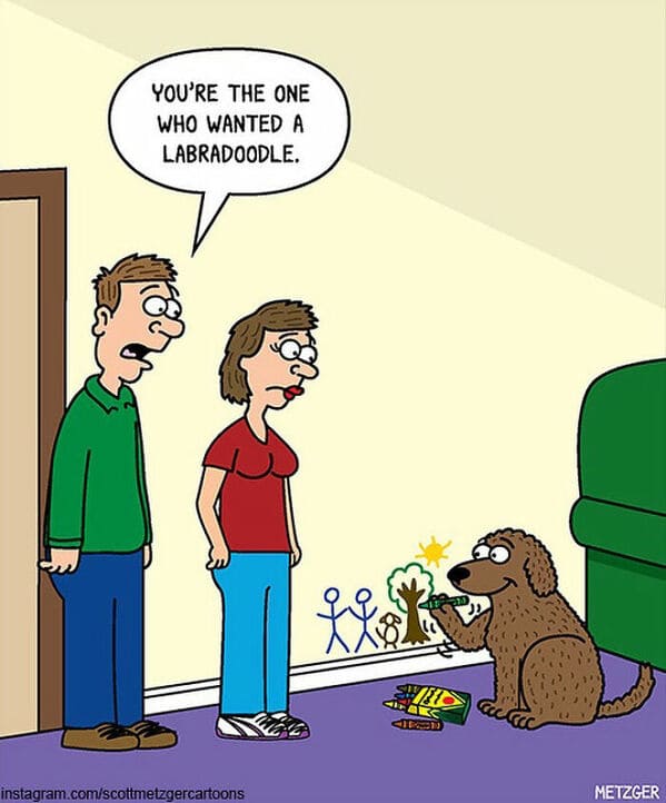 3 20 scott metzger's single-panel cartoons will make your day better
