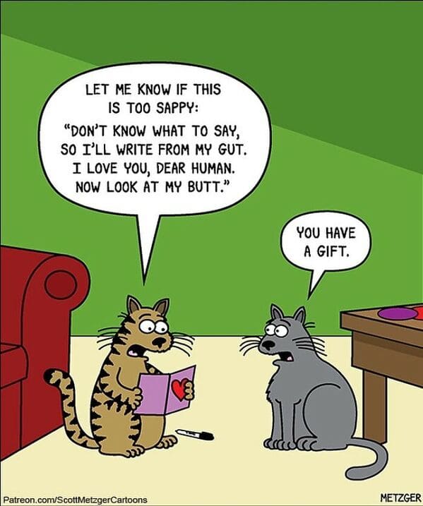 6 20 scott metzger's single-panel cartoons will make your day better
