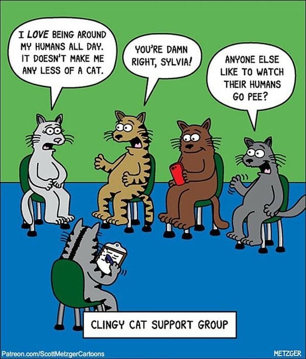 9 20 scott metzger's single-panel cartoons will make your day better
