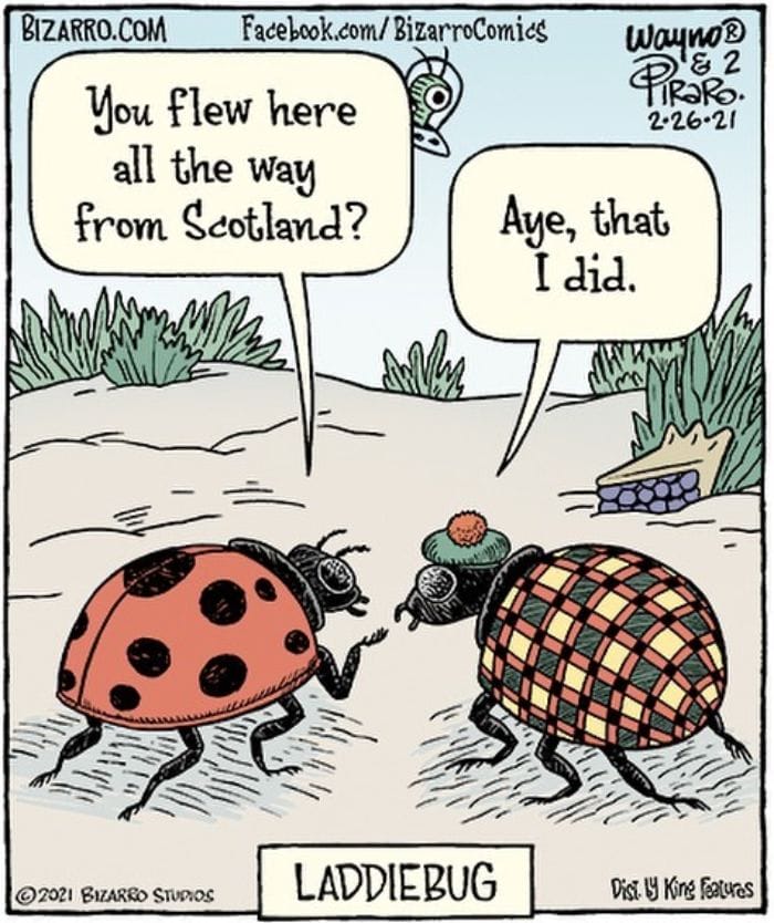612c8468e8afc-This-artist-makes-us-laugh-with-single-panel-comics-smart-and-sarcastic-New-Pics-6124e19393b6b__700 Artist Dan Piraro Is Back With 20 New Single-Panel Humorous Cartoons