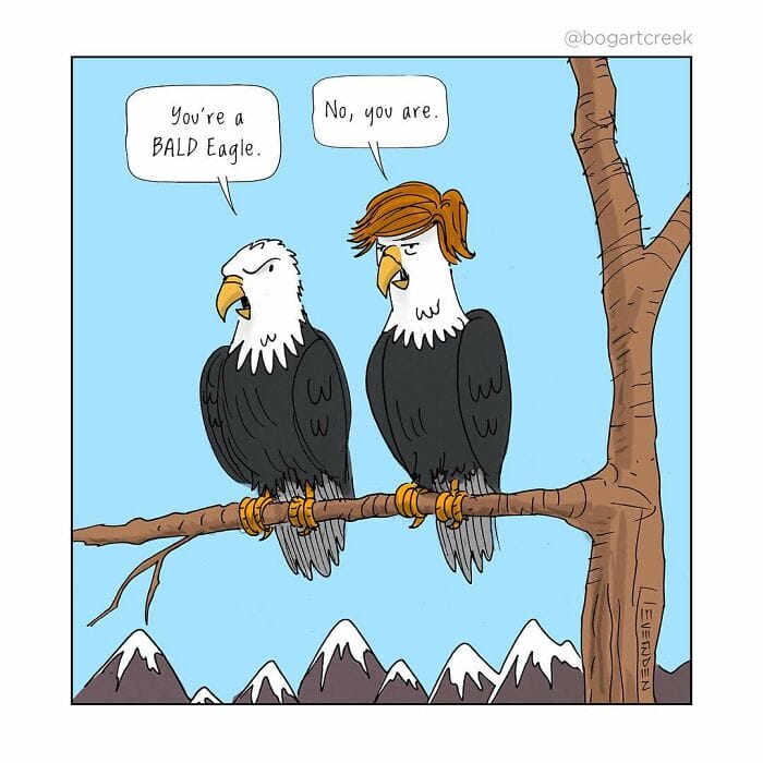 17-22 30 Humor  Single Panel Comics By ‘Bogart Creek’