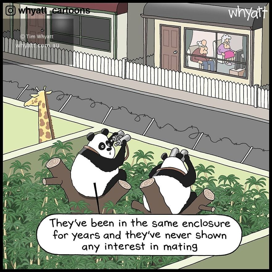 20-4 15 Single-Panel Whyatt Cartoons Will Make You Laugh