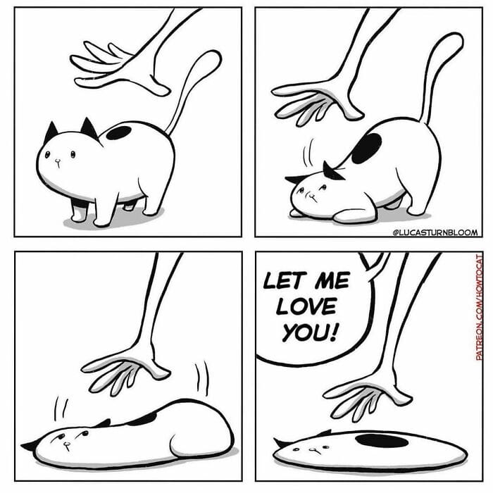 1-89 20 New Comics by Lucas Turnbloom That Hilariously Capture Relatable Cat Behaviors