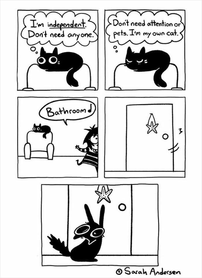 1-94 20 Hilarious Comics By Sarah Andersen That Perfectly Capture The Quirky Differences Between Cats And Dogs