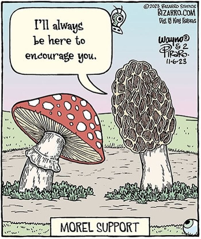10-5 20 Comics Feature Surreal humor That Depicts Situations in a Bizarre Way