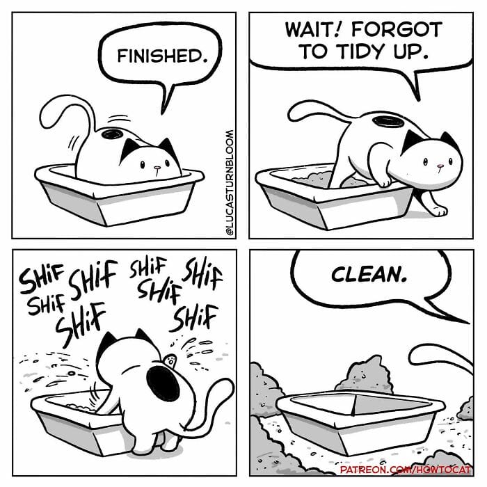 10-92 20 New Comics by Lucas Turnbloom That Hilariously Capture Relatable Cat Behaviors