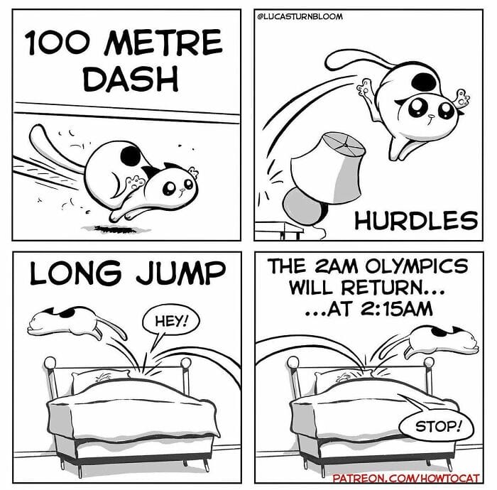 11-92 20 New Comics by Lucas Turnbloom That Hilariously Capture Relatable Cat Behaviors