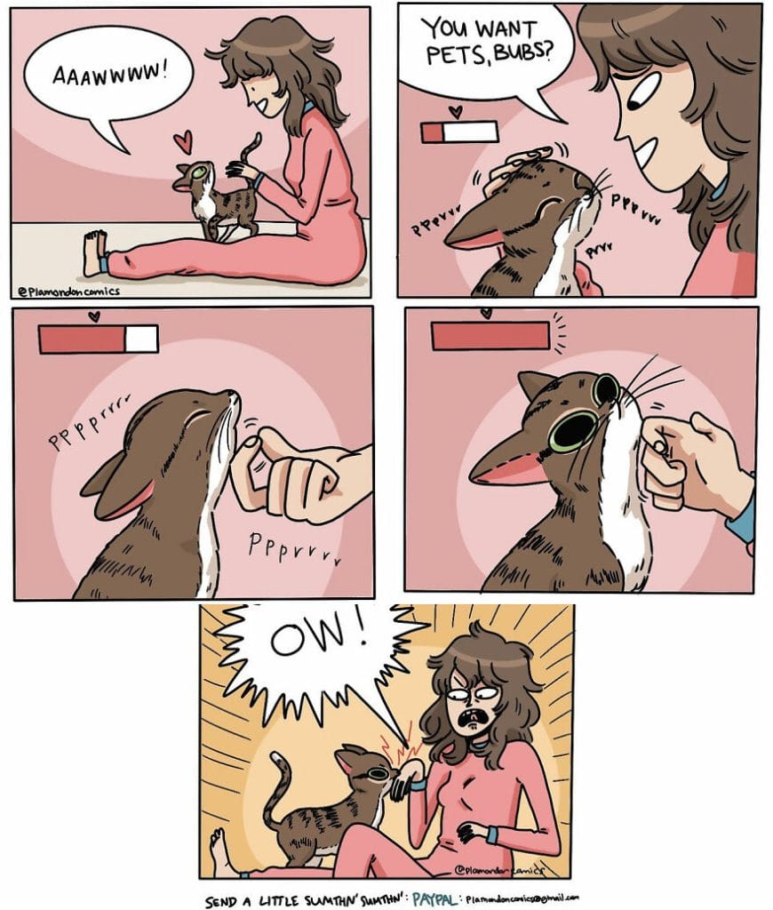 12-54-870x1024 12+ Plamondon Shares Relateable and Silly Moments in her Life
