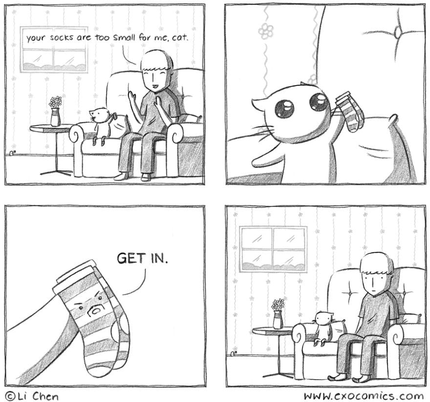 12-84 15 Relatable Comics for Anyone Who Has Ever Lived with a Partner or Had a Cat