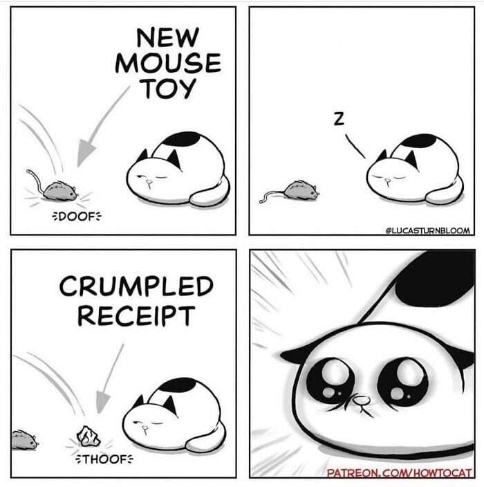 12-90 20 New Comics by Lucas Turnbloom That Hilariously Capture Relatable Cat Behaviors