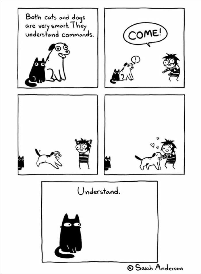 12-96 20 Hilarious Comics By Sarah Andersen That Perfectly Capture The Quirky Differences Between Cats And Dogs