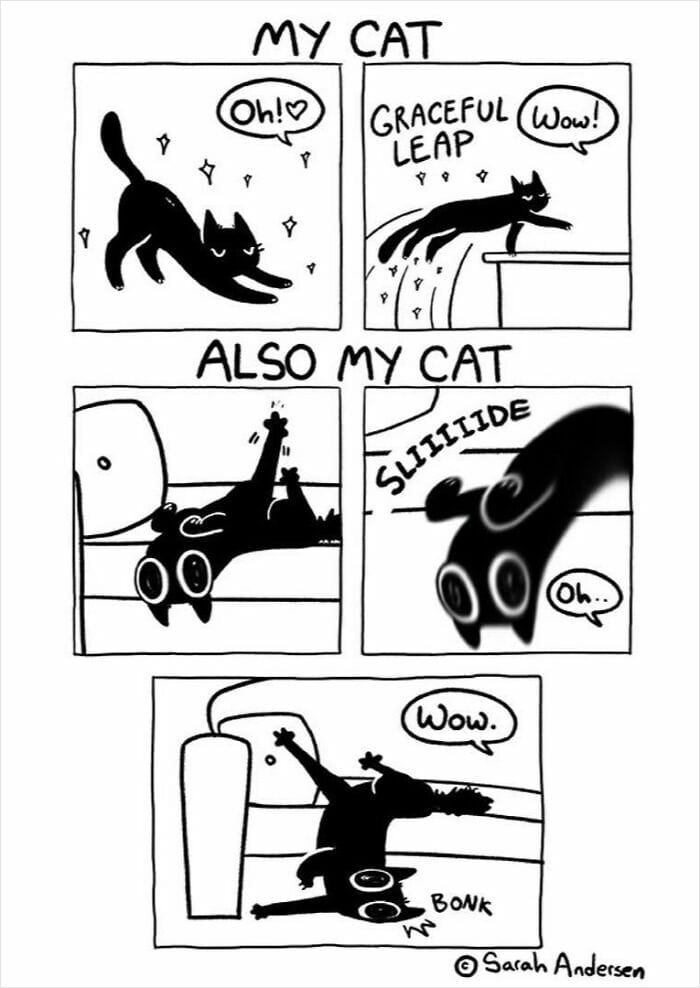 13-97 20 Hilarious Comics By Sarah Andersen That Perfectly Capture The Quirky Differences Between Cats And Dogs
