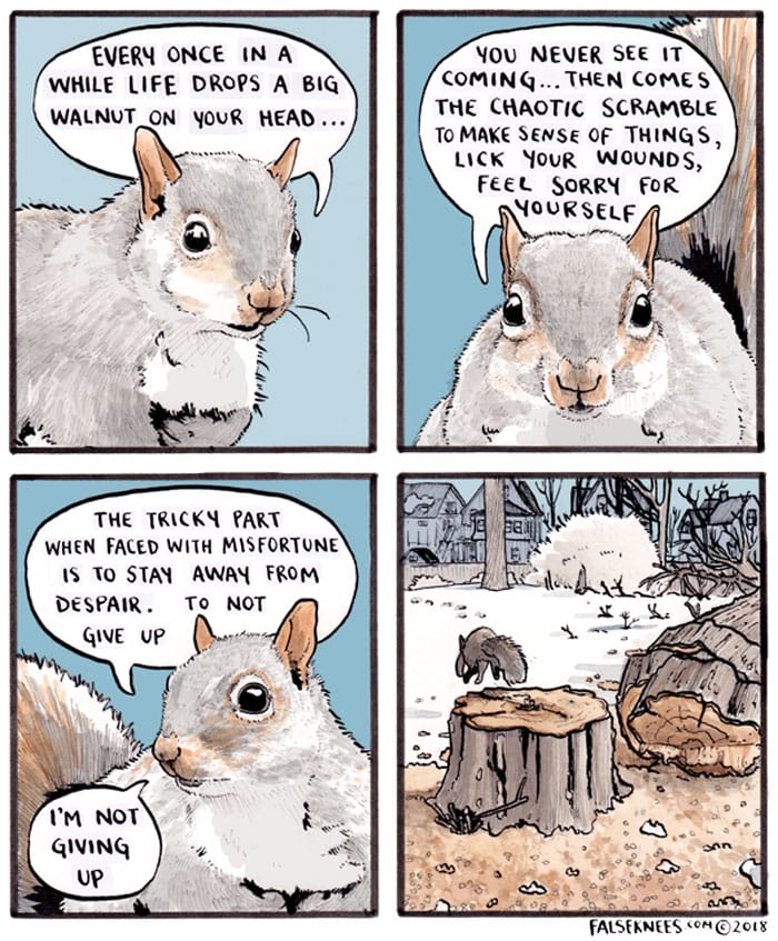 14-12 15 False Knees Humorous and often Surreal illustrations of Animals