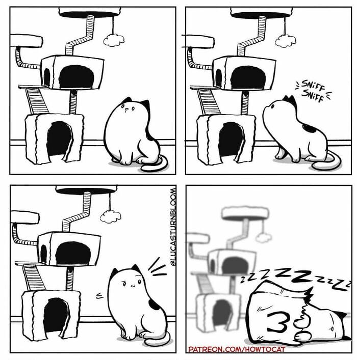 14-91 20 New Comics by Lucas Turnbloom That Hilariously Capture Relatable Cat Behaviors