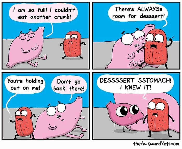 15-32 Heart and brain 20 Best the awkward yeti comics