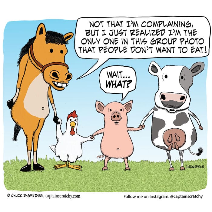 15-37 15+ Times Captain Scratchy use Animals in his Comics to make people laugh