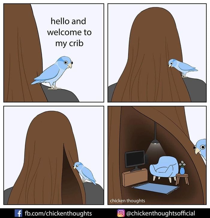 16-49 15+ Times Chicken Thoughts Makes Hilarious Comics About Birds That will Surely Make Your Day