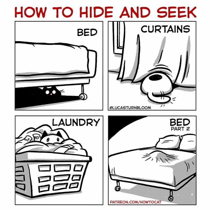 16-87 20 New Comics by Lucas Turnbloom That Hilariously Capture Relatable Cat Behaviors