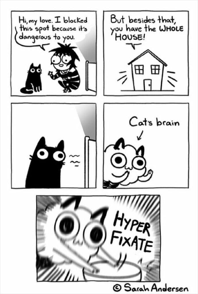 17-89-689x1024 20 Hilarious Comics By Sarah Andersen That Perfectly Capture The Quirky Differences Between Cats And Dogs