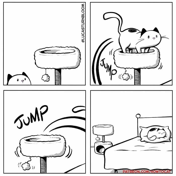 18-85 20 New Comics by Lucas Turnbloom That Hilariously Capture Relatable Cat Behaviors