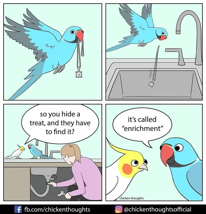 19-48 15+ Times Chicken Thoughts Makes Hilarious Comics About Birds That will Surely Make Your Day
