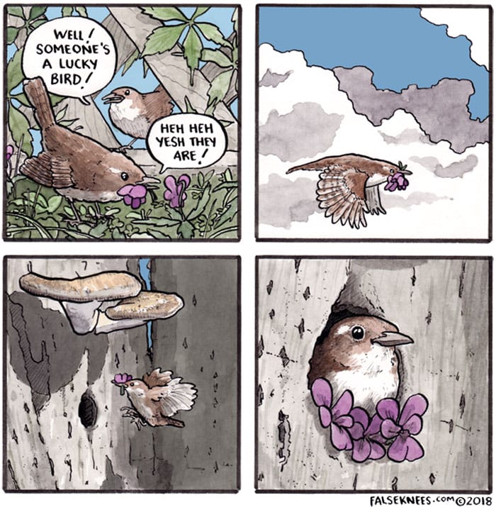 2-12 15 False Knees Humorous and often Surreal illustrations of Animals