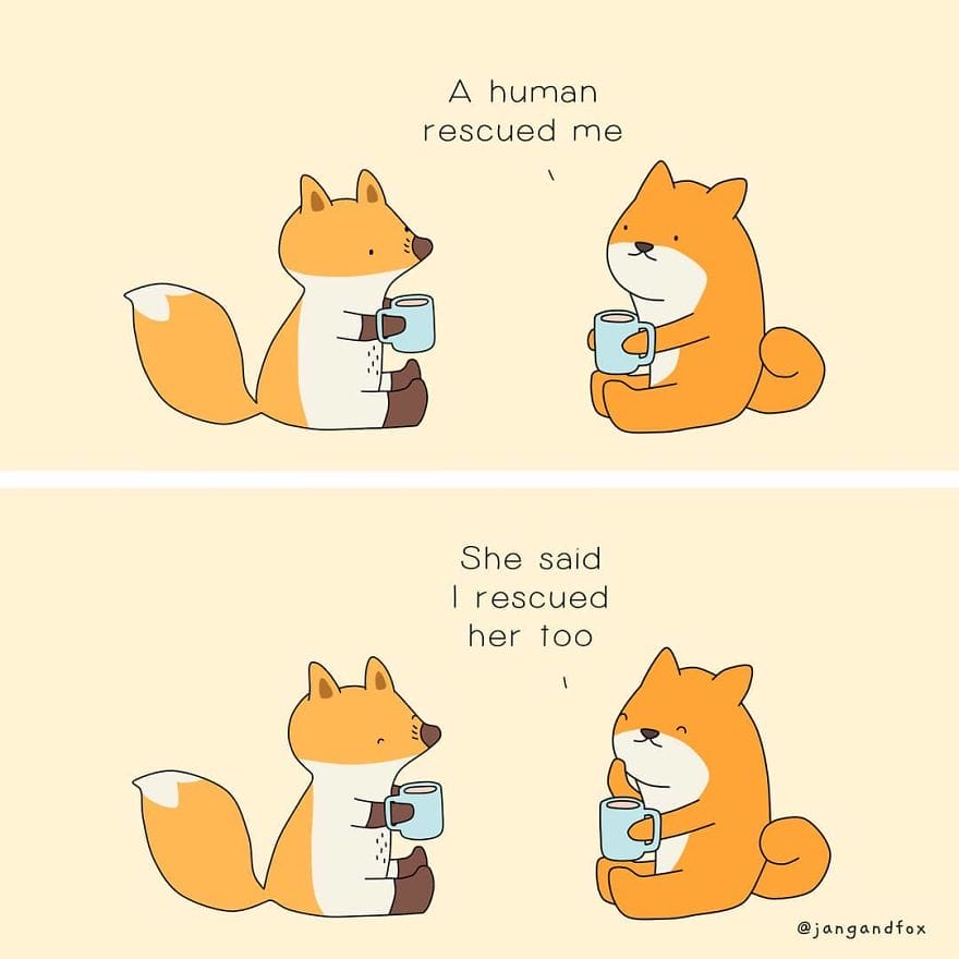 2-38 15+ Heart Touching Jangandfox Comics Using Animals
