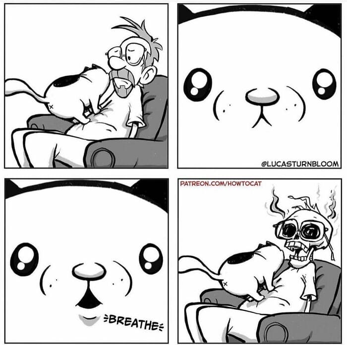 20-88 20 New Comics by Lucas Turnbloom That Hilariously Capture Relatable Cat Behaviors