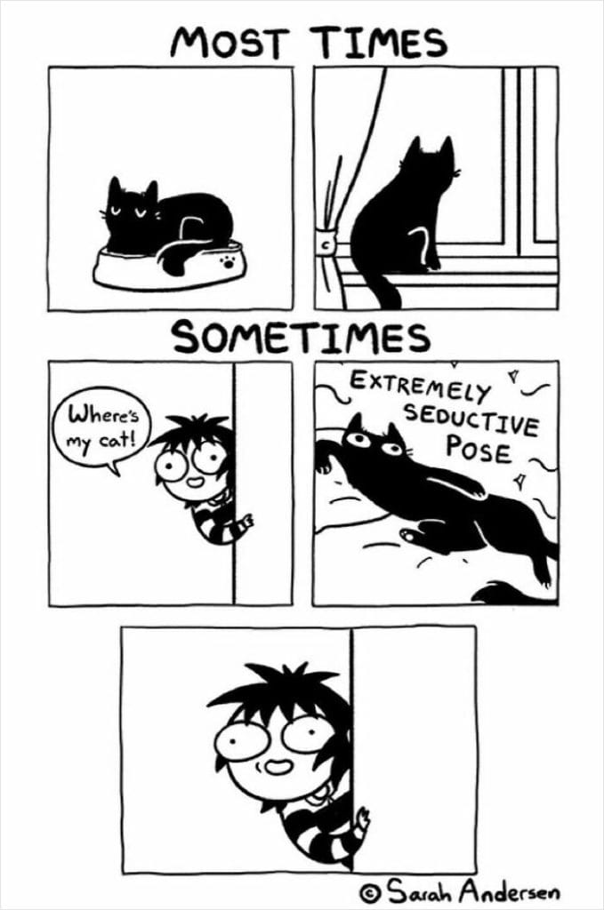 20-93-679x1024 20 Hilarious Comics By Sarah Andersen That Perfectly Capture The Quirky Differences Between Cats And Dogs