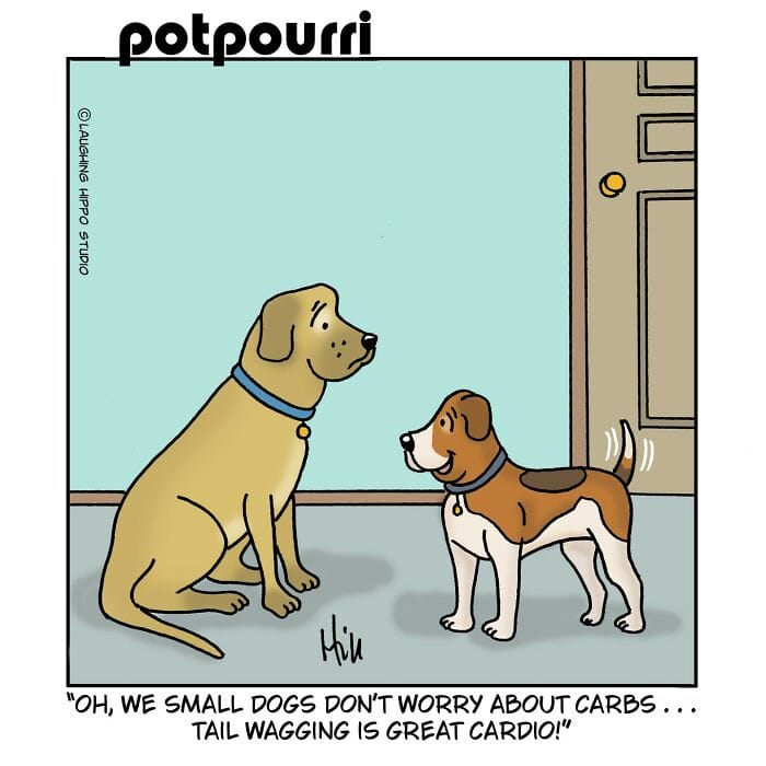 25 20 Clever Single-Panel Comics Full of Unexpected Twists and Imaginative Humor