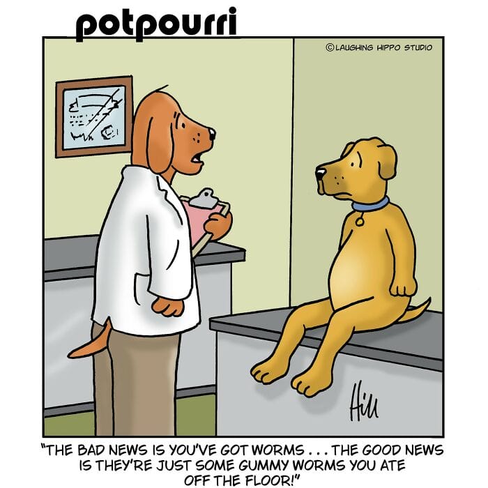 28 20 Clever Single-Panel Comics Full of Unexpected Twists and Imaginative Humor