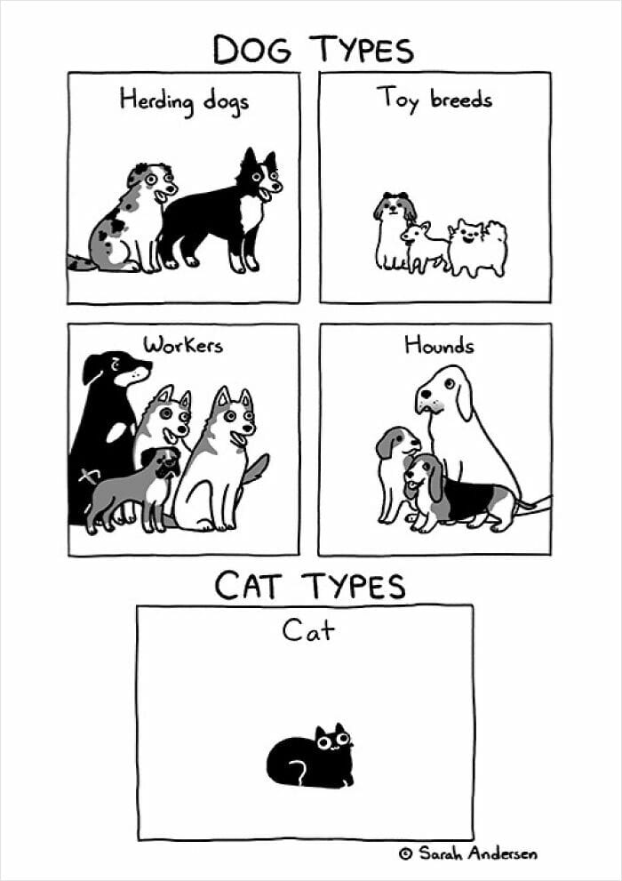 3-94 20 Hilarious Comics By Sarah Andersen That Perfectly Capture The Quirky Differences Between Cats And Dogs