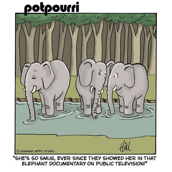 35 This Cartoonist Always amuses his Fans only Through single-panel Comics (20 Comics)