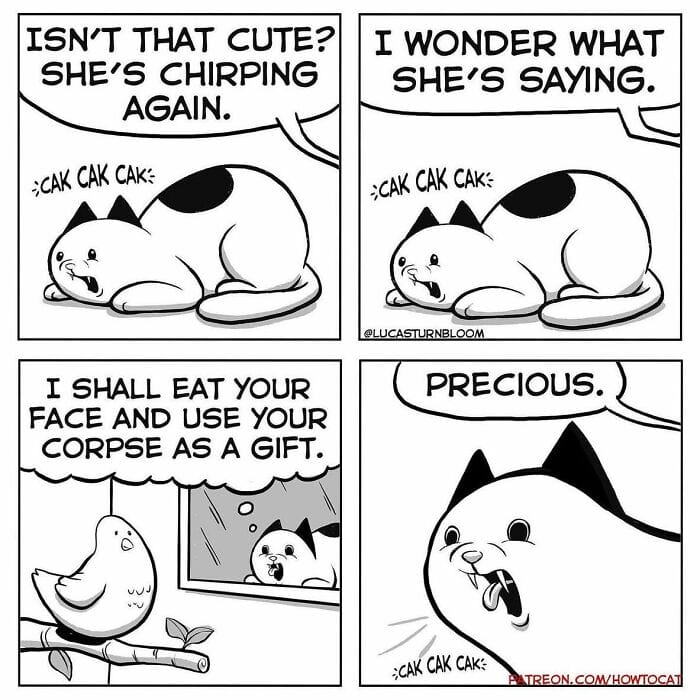 4-89 20 New Comics by Lucas Turnbloom That Hilariously Capture Relatable Cat Behaviors
