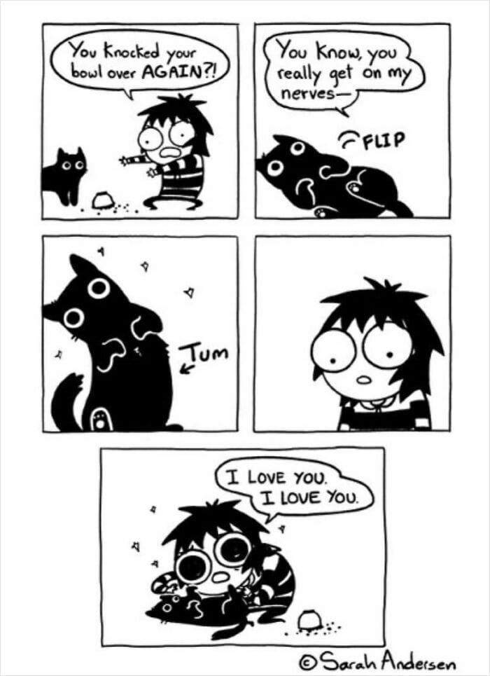 4-94 20 Hilarious Comics By Sarah Andersen That Perfectly Capture The Quirky Differences Between Cats And Dogs