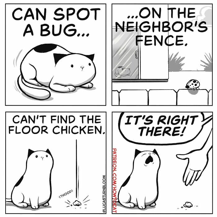 5-90 20 New Comics by Lucas Turnbloom That Hilariously Capture Relatable Cat Behaviors