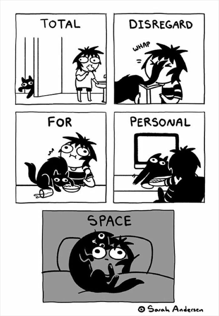 5-95 20 Hilarious Comics By Sarah Andersen That Perfectly Capture The Quirky Differences Between Cats And Dogs