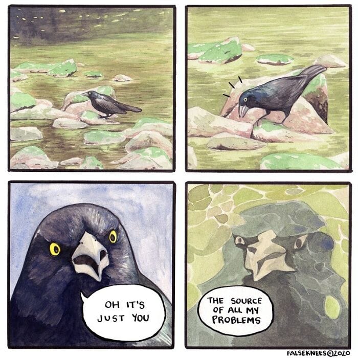 6-12 15 False Knees Humorous and often Surreal illustrations of Animals