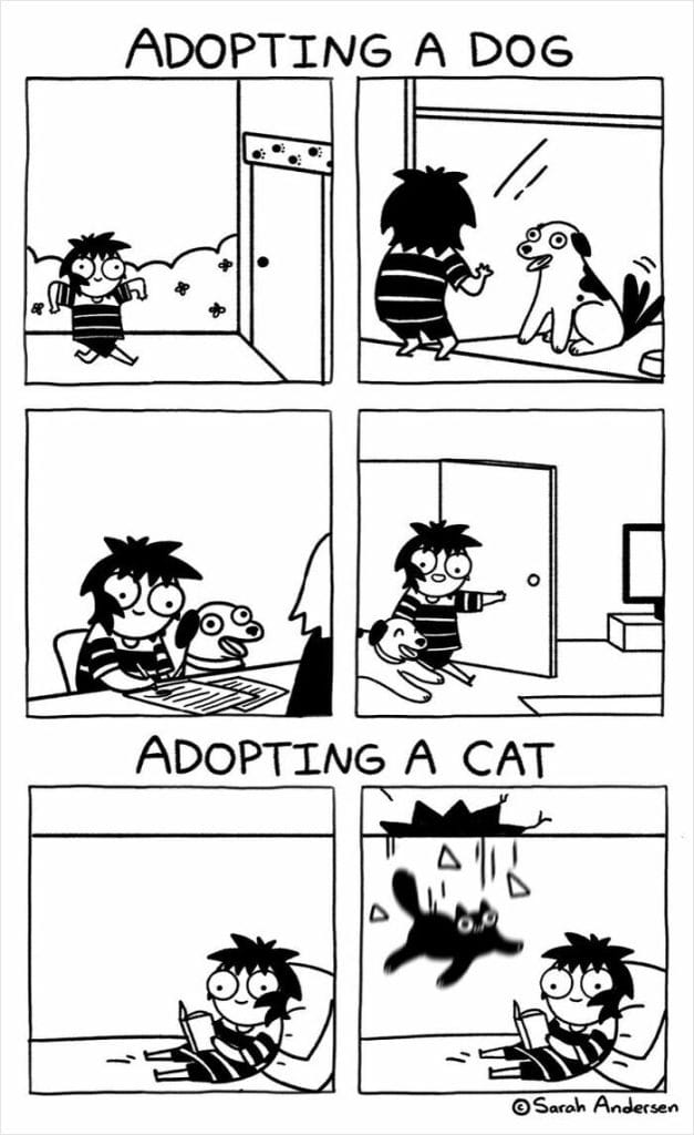6-96-627x1024 20 Hilarious Comics By Sarah Andersen That Perfectly Capture The Quirky Differences Between Cats And Dogs