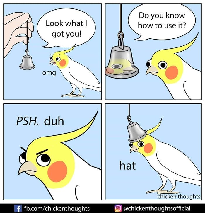 8-50 15+ Times Chicken Thoughts Makes Hilarious Comics About Birds That will Surely Make Your Day