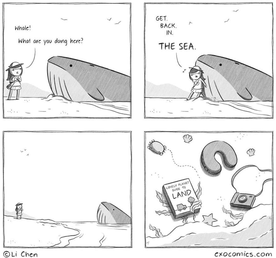 8-85 15 Relatable Comics for Anyone Who Has Ever Lived with a Partner or Had a Cat