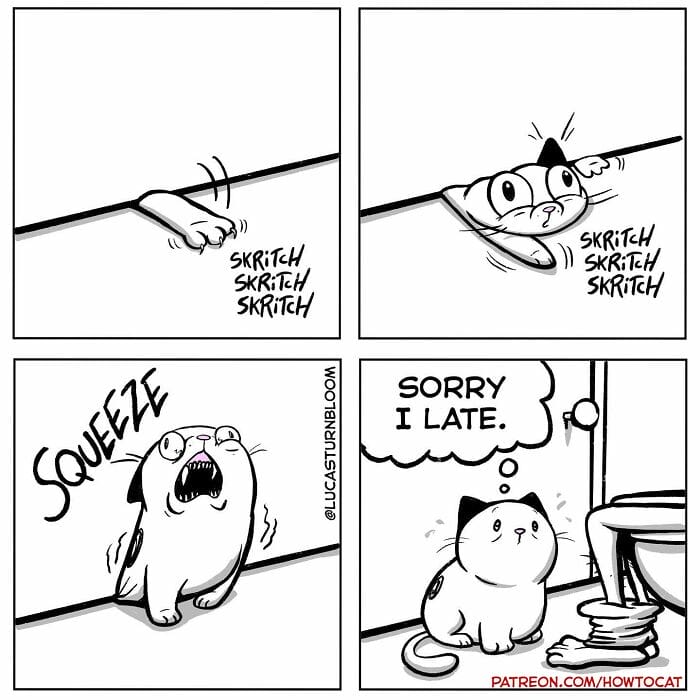 8-91 20 New Comics by Lucas Turnbloom That Hilariously Capture Relatable Cat Behaviors